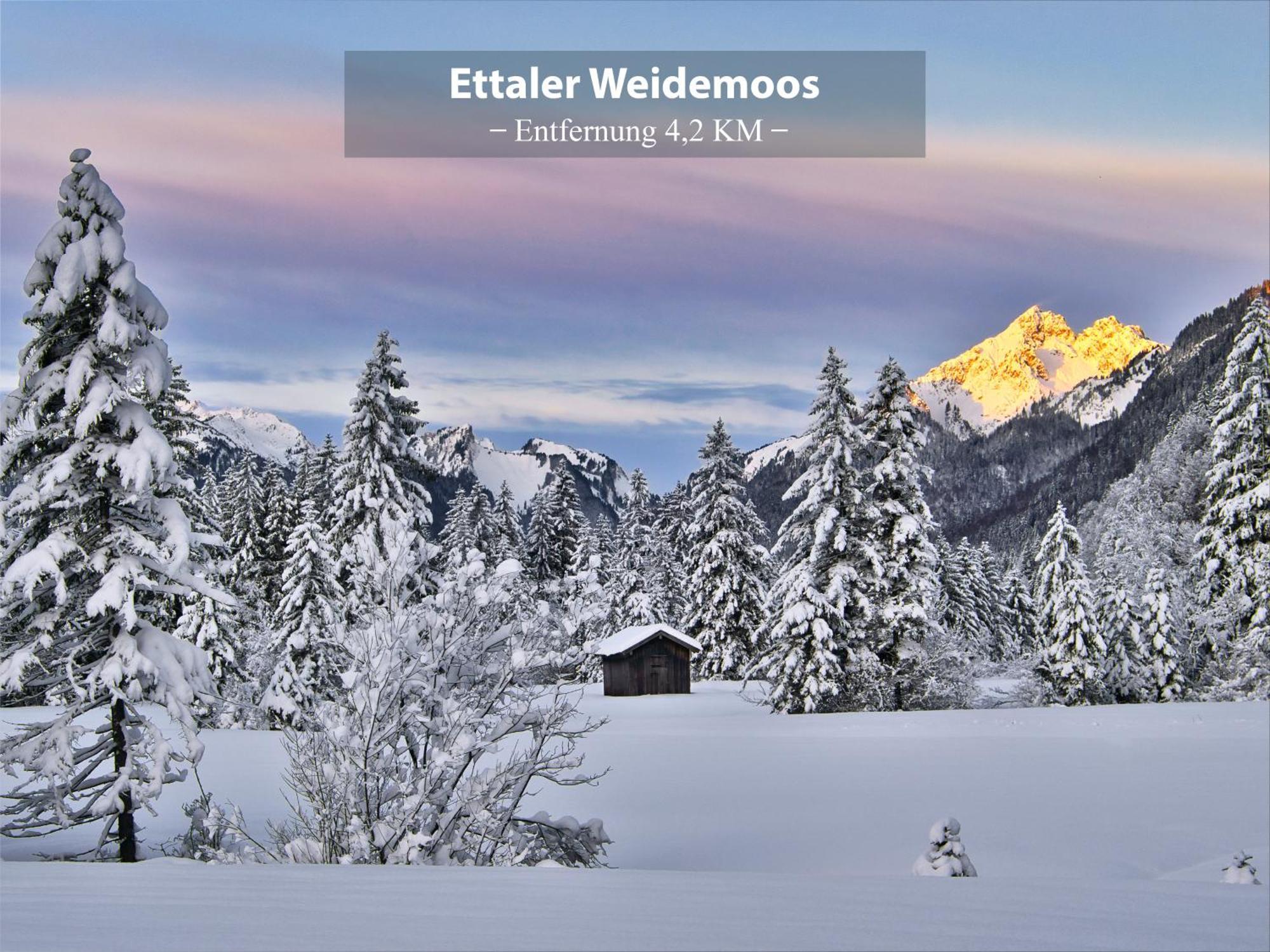 Montana - Ferienwohnung Am Laber Oberammergau Buitenkant foto